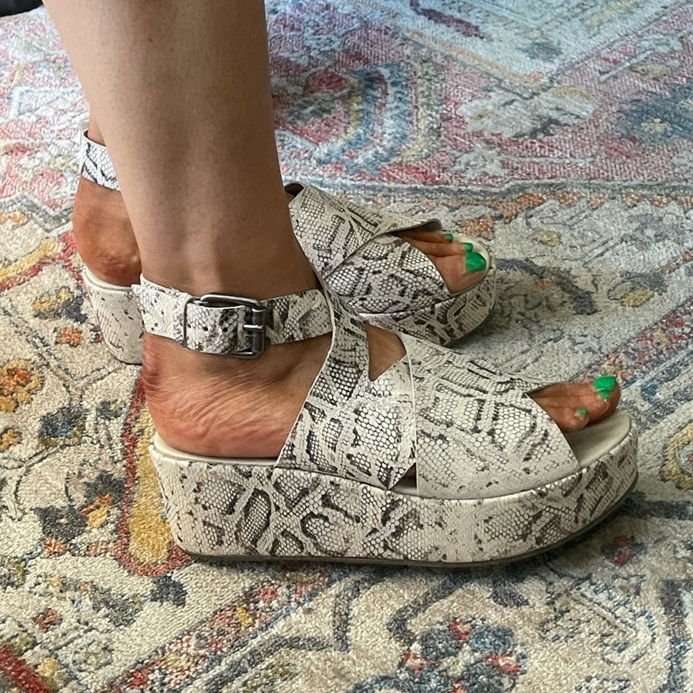 Matisse Platforms